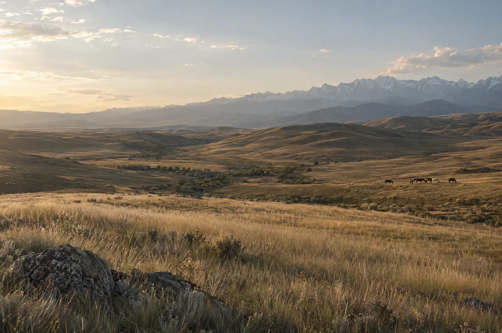 Steppe at the foot of the Tian Shan, with horses grazing in the distance